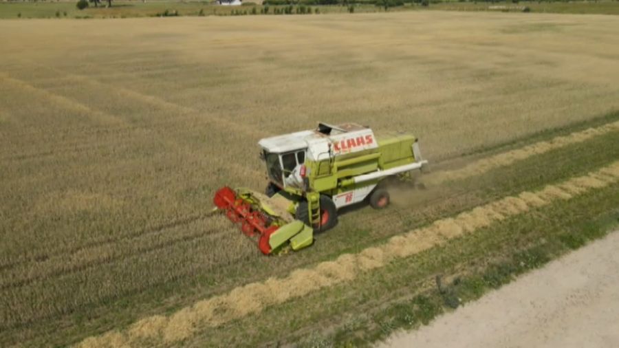 fot.: Informacje Lubuskie, 25.07.2025