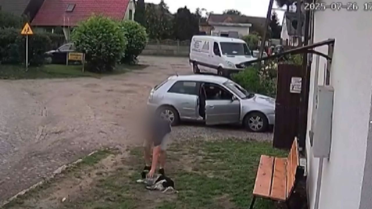 Podniósł psa za kark i rzucił nim o ziemię. Sprawca usłyszał zarzuty