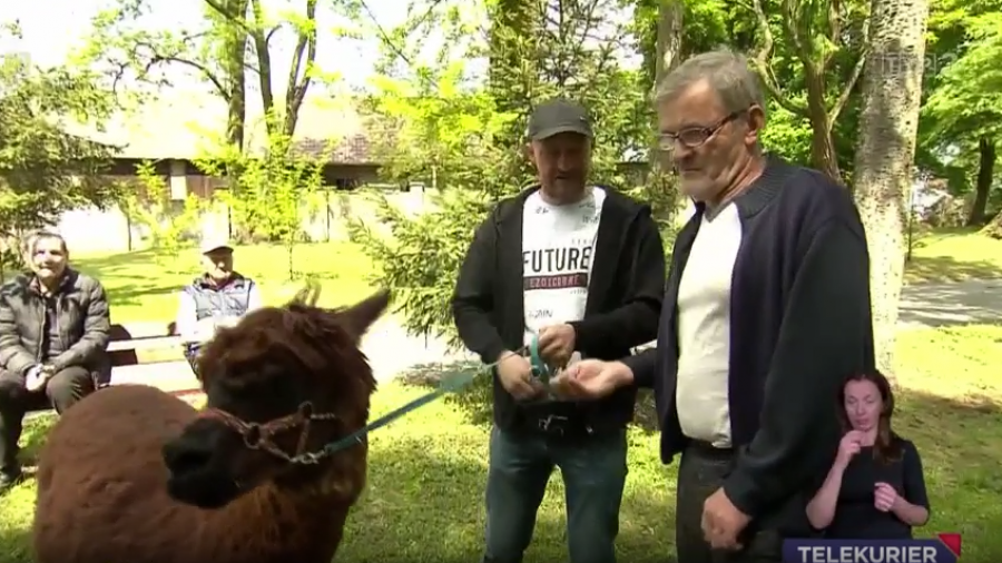 Telekurier