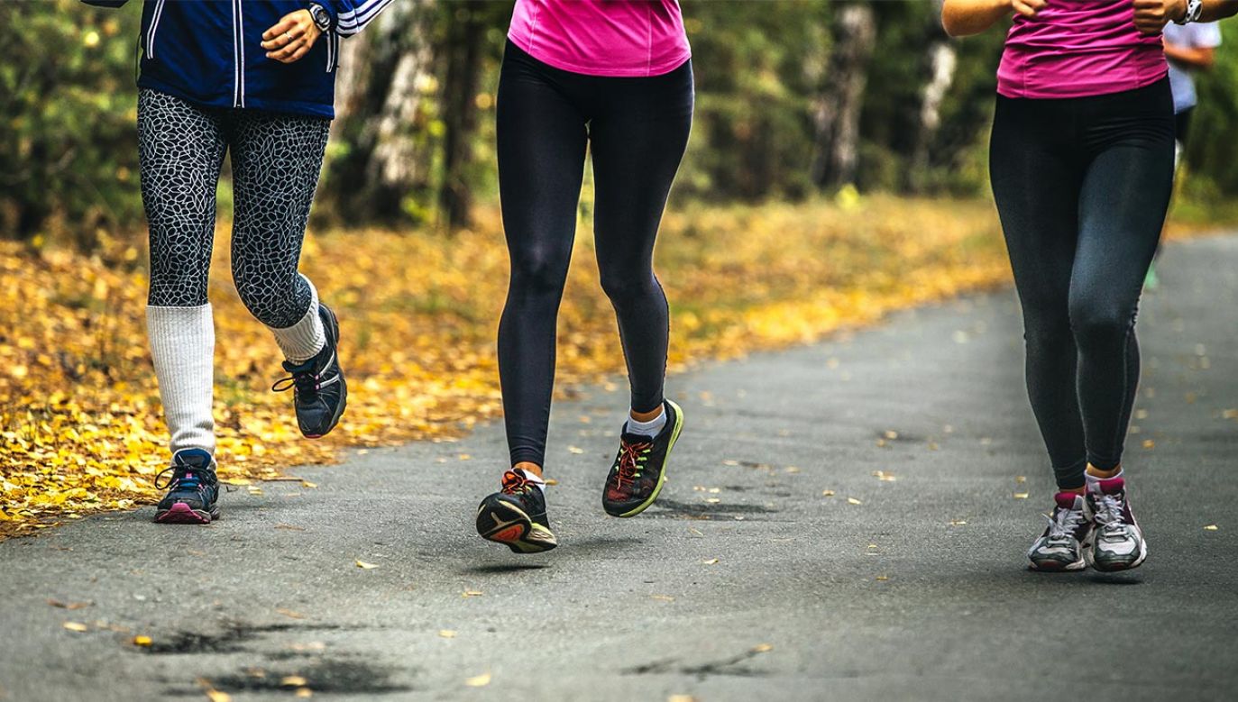 Naukowcy zaobserwowali zależność między większą aktywnością fizyczną a wyższym poziomem białek (fot. Shutterstock/sportpoint)