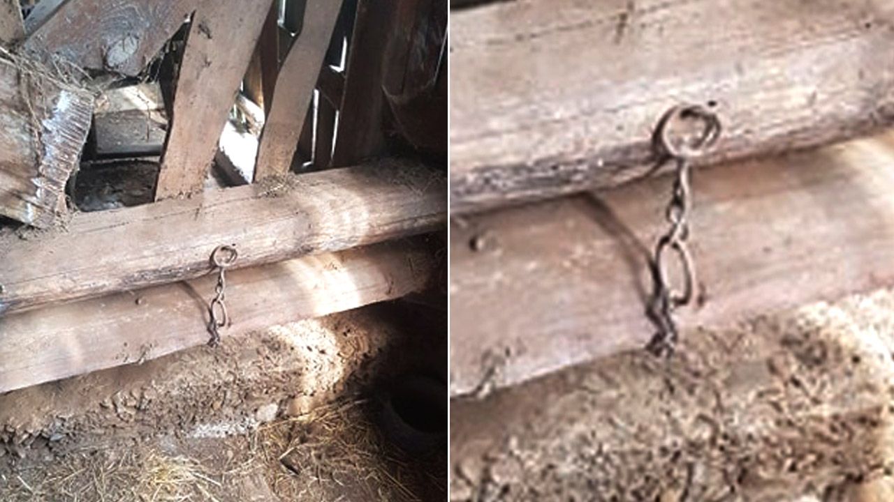 Zwierzę było gnębione od wielu miesięcy (fot. OTOZ Animals Inspektorat Jasło) Zwierzę było gnębione od wielu miesięcy (fot. OTOZ Animals Inspektorat Jasło)