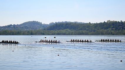 Wioślarstwo. Puchar Świata, Varese – finały. Transmisja online na żywo w TVP Sport (15.06.2025)