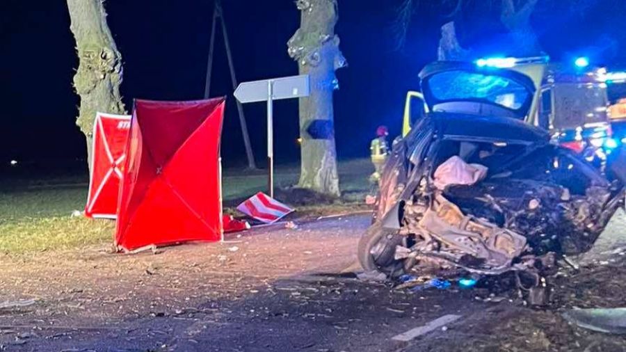 Modrze, śmiertelny wypadek, hulajnoga, samochód osobowy (fot. OSP Stęszew/Facebook)