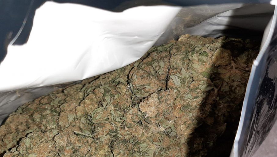 Worki zawierały bardzo duże pąki marihuany, co może świadczyć o jej dobrej jakości (fot. zoll.de)