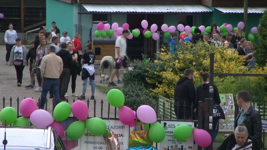 fot. TVP3 Gorzów Wlkp.