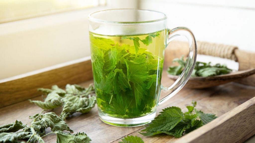 Picie naparu z pokrzywy działa moczopędnie, przyspiesza metabolizm i wspomaga układ odpornościowy. Fot. FotoHelin/Shutterstock