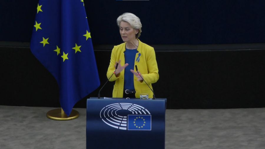 Polscy Europosłowie Komentują Wystąpienie Ursuli Von Der Leyen