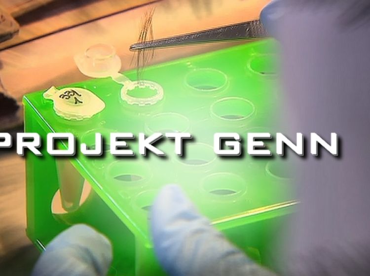 Ktokolwiek widział, ktokolwiek wie.. - Reportaż o projekt ...