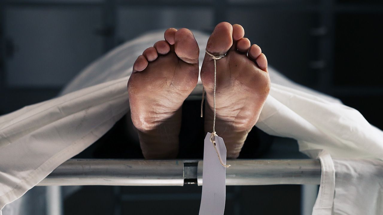 Mężczyzna oskarżony o zabójstwa początkowo usłyszał zarzuty m.in. przywłaszczenia mienia kobiety oraz dokonania w czerwcu 2019 r. jej zabójstwa (fot. Shutterstock/Skyward Kick Productions) Mężczyzna oskarżony o zabójstwa początkowo usłyszał zarzuty m.in. przywłaszczenia mienia kobiety oraz dokonania w czerwcu 2019 r. jej zabójstwa (fot. Shutterstock/Skyward Kick Productions)