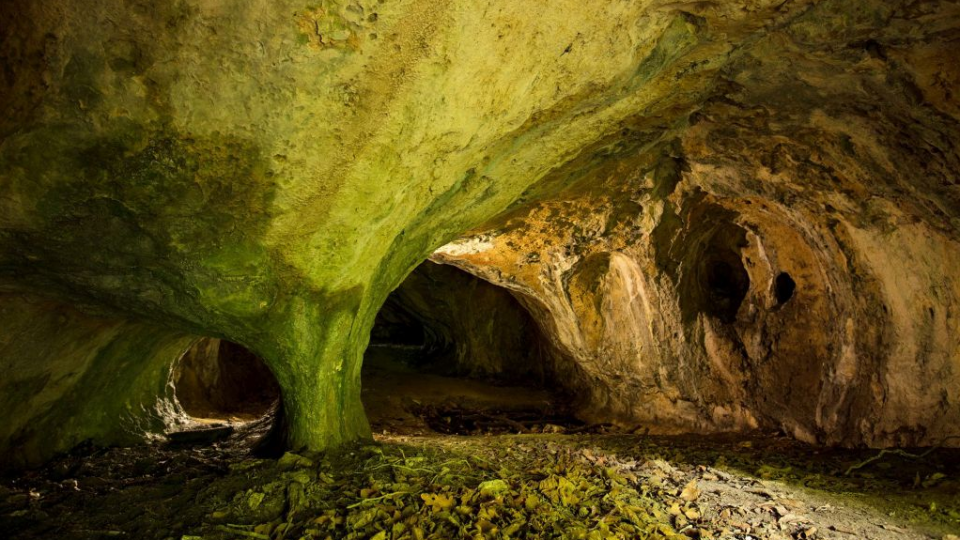 W polskiej jaskini znaleziono dowody ludzkości sprzed pół miliona lat