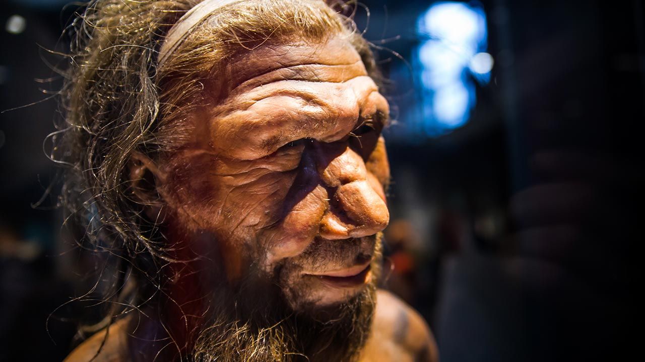 Pääbo zasłynął badaniami genomu neandertalczyków (fot. SHutterstock/IR Stone) Pääbo zasłynął badaniami genomu neandertalczyków (fot. SHutterstock/IR Stone)