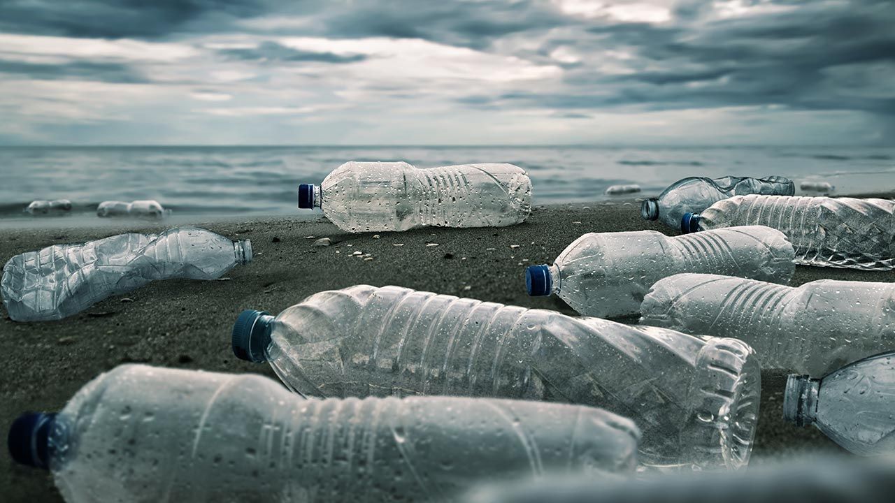 Japończycy chcą produkować ekologiczny plastik (fot. Shutterstock/chaiyapruek youprasert)