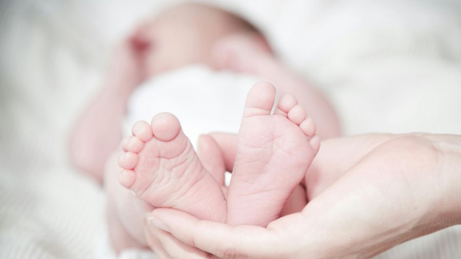 Metoda in vitro znana jest na świecie od ponad 40 lat (fot. pexels.com)