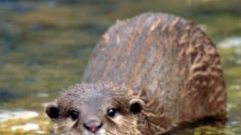 randki z miłośnikami dzikiej przyrodymoja była dziewczyna spotyka się z innymi facetami