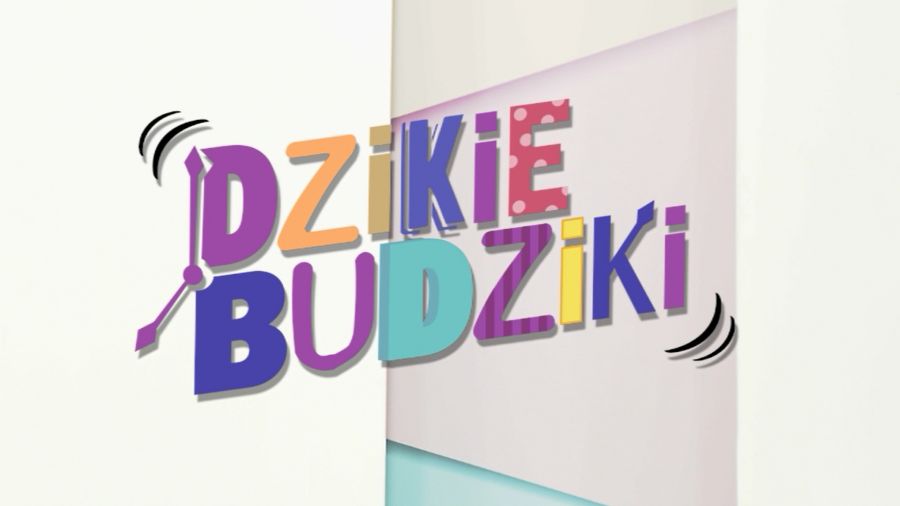 Dzikie Budziki