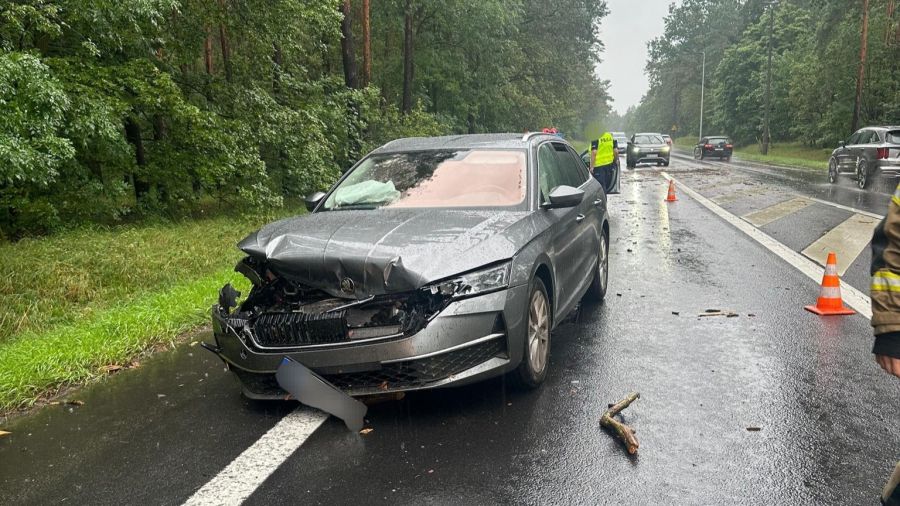 W poniedziałek 28 lipca około 17.00  doszło do niebezpiecznego zdarzenia (fot. KM PSP w Toruniu)