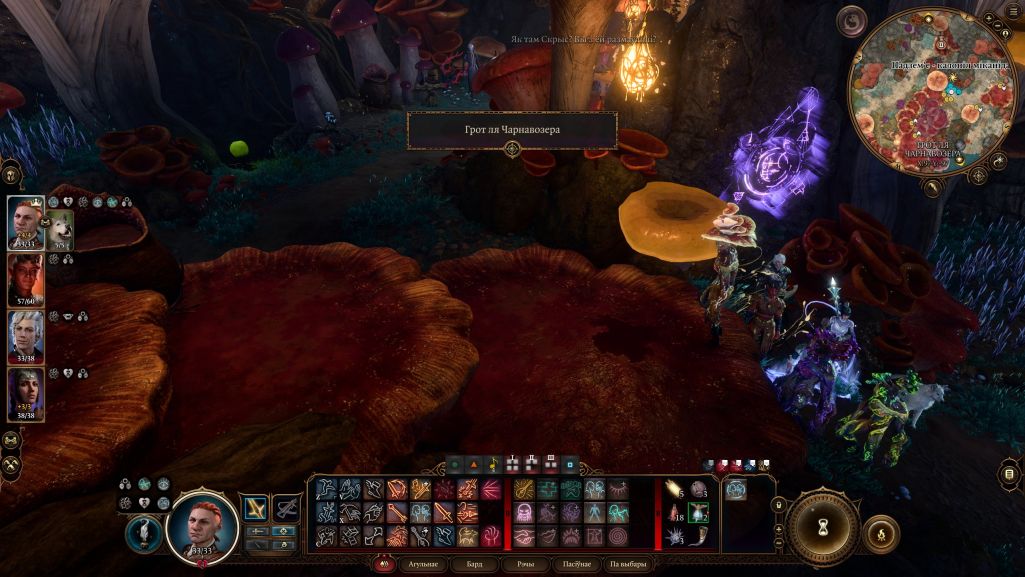 Baldur's Gate 3 (Скрыншот: Zmiecer / X)