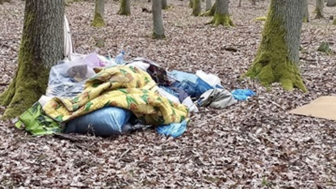 Fotografie zostały przekazane dyrekcji parku (fot. FB/Wolontariat WPN) Fotografie zostały przekazane dyrekcji parku (fot. FB/Wolontariat WPN)