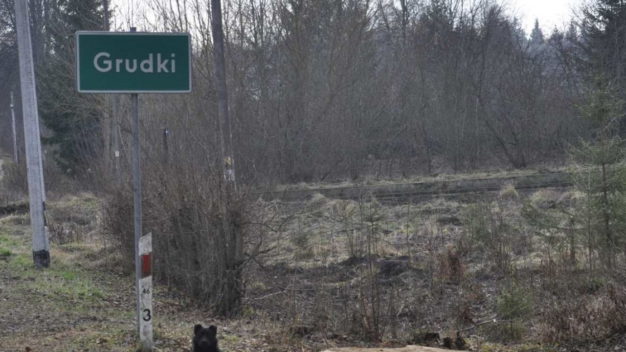 Decyzja wójta zaszokowała przyrodników Decyzja wójta zaszokowała przyrodników