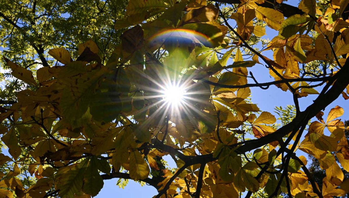 W najbliższym tygodniu czeka nas zaledwie kilka słonecznych dni (fot. PAP/Darek Delmanowicz)