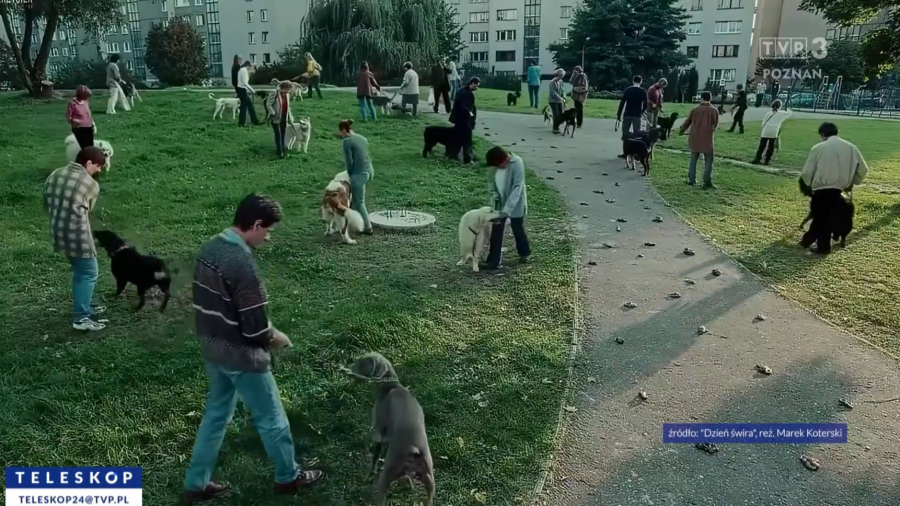 Żeby nie było jak w filmie. Pomagają uniknąć mandatu (fot. „Dzień Świra” reż. M. Koterski)