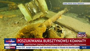 (fot. TVP Info)
