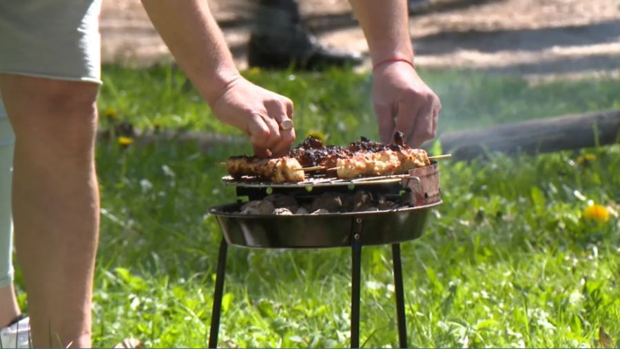 Mandat za grillowanie. Co robić, aby go uniknąć/Fot. TVP3 Łódź