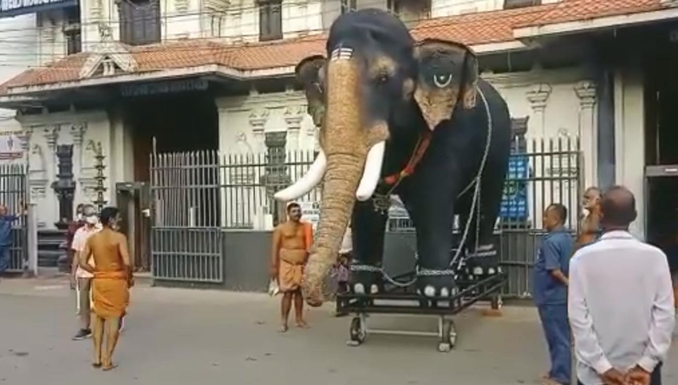 Słoń robot kosztował około pół miliona indyjskich rupii, czyli ok. 26,8 tys. zł (fot. Facebook/HAWSKerala)