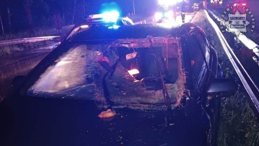 Tak wyglądało auto po zderzeniu z łosiem. Fot. Policja Mysłowice