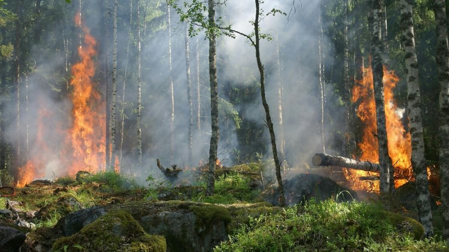 Za sprowadzenie zagrożenia pożarowego górna granica grzywny wzrośnie z 5 do 30 tys. zł  (fot. ilustr. źródło: pexels.com)