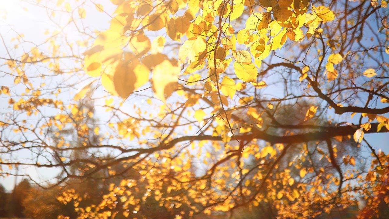 Początek „polskiej złotej jesieni”? Nie do końca (fot. Shutterstock)