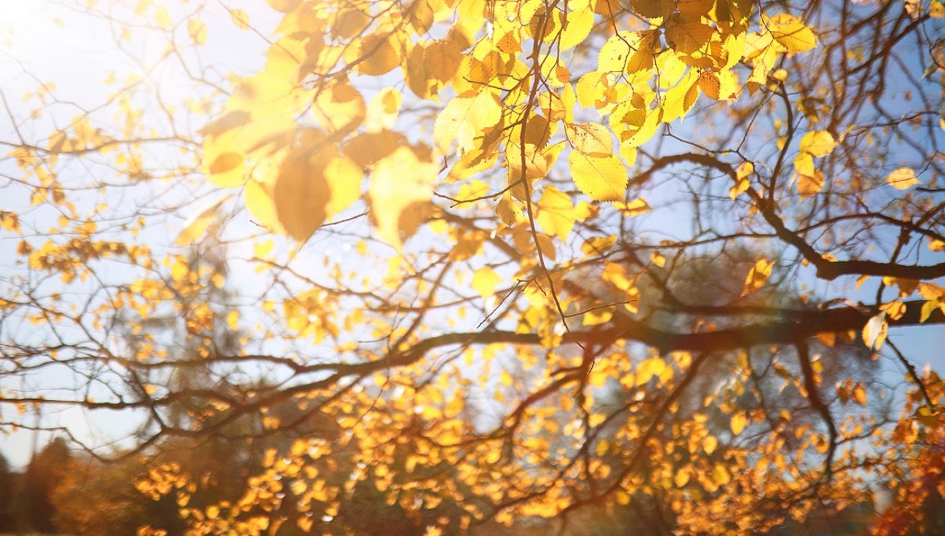 Początek „polskiej złotej jesieni”? Nie do końca (fot. Shutterstock)