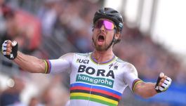 Peter Sagan (fot. Getty Images)