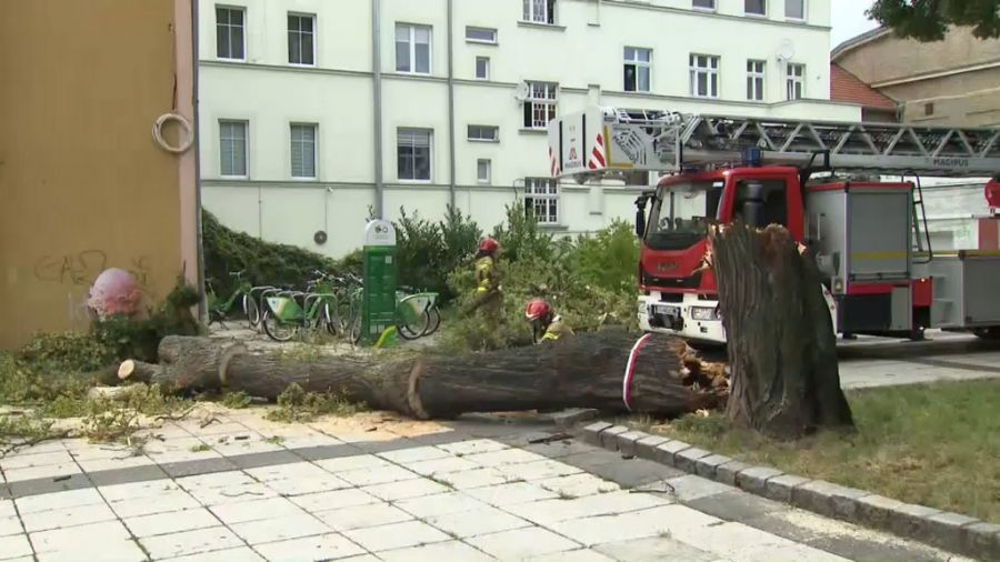 fot. TVP3 Gorzów Wlkp.