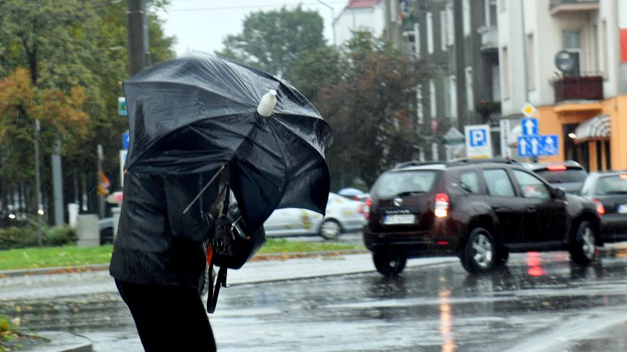W nocy przymrozki, w piątek deszcz i zimny wiatr 